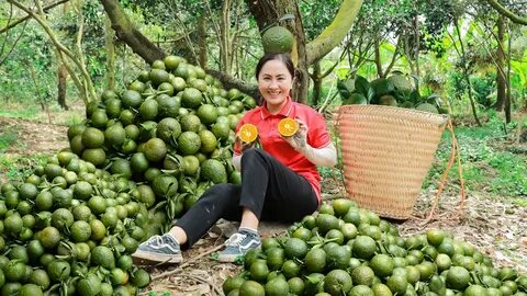 Chuyên gia Hotspot Matrix phân tích: 5 kiểu áo blouse dễ “dừ” hơn và marketing video_Phần mềm biên tập video chuyên nghiệp