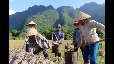 Hotspot Matrix và Nữ diễn viên có style 